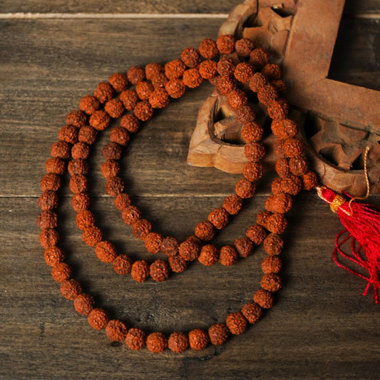  5 mukhi rudraksha mala